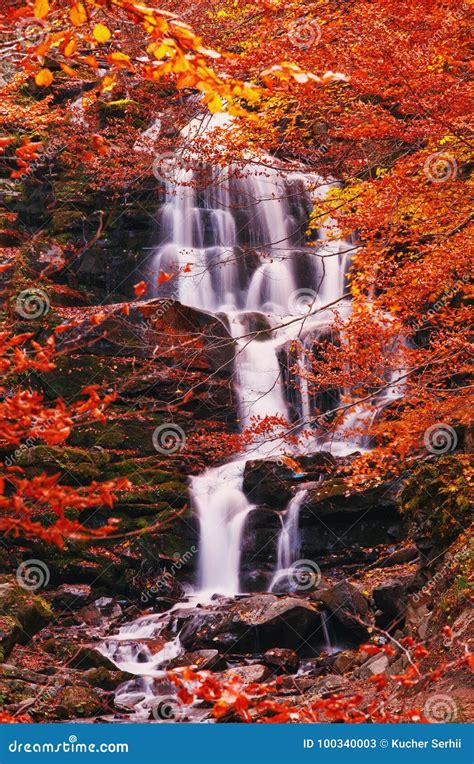 Rocky Waterfall In Autumn Forest Stock Image Image Of Foliage