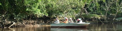 Where are mangrove habitats found? Sustaining mangroves with communities in Sedili Kecil ...