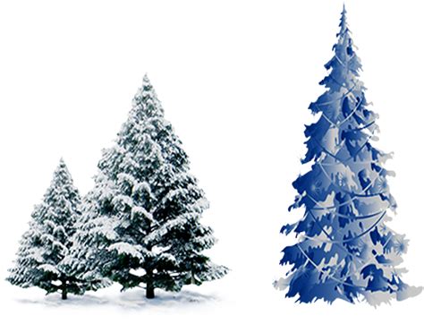 Snow Pine Png Blue Christmas Tree Vector Png Transparent Cartoon My