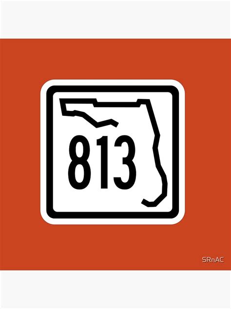 Florida State Route 813 Area Code 813 Throw Pillow For Sale By