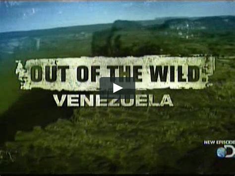 Out Of The Wild Venezuela Part 2 On Vimeo