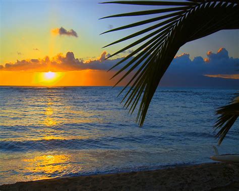 44 Hawaii Desktop Wallpaper Beach Pictures On Wallpapersafari