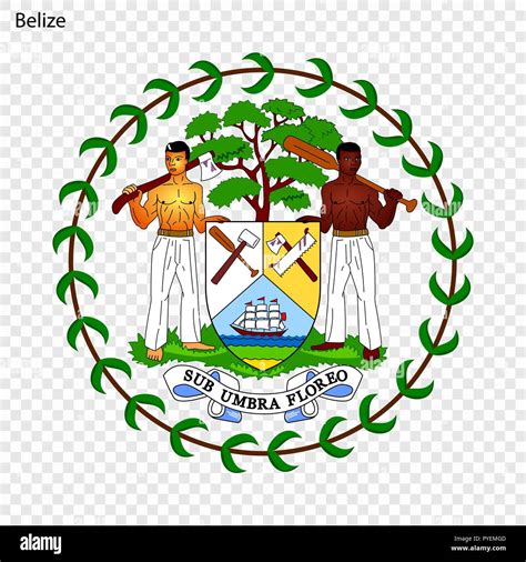 Symbol Of Belize National Emblem Stock Vector Image And Art Alamy