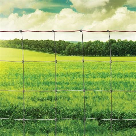 Home Depot Red Brand Field Fence