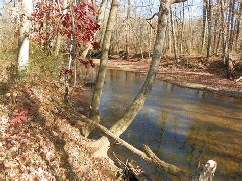50 Acres In Graves County Kentucky