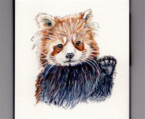 The Red Panda ~ Doodlewash