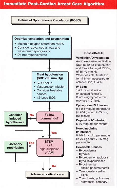 Acls Algorithms 2020 Svt How To Pass The Pediatric Advanced Life