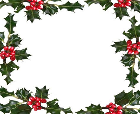 Holly Border Png Holly Border Png Transparent Free For Download On