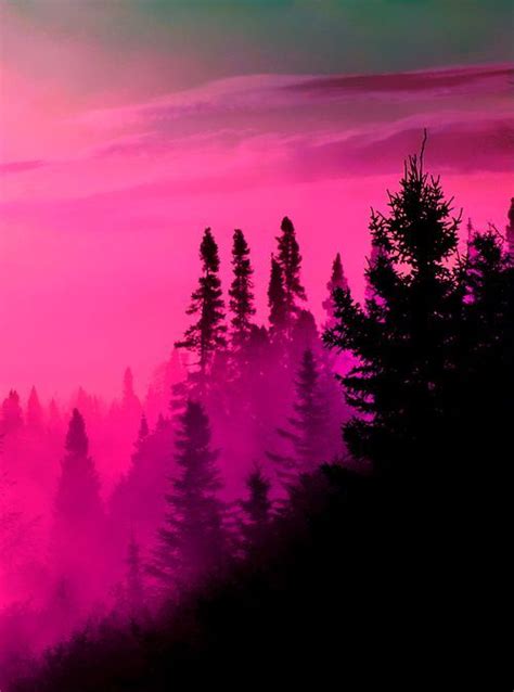 Natures Paintbox Photo Pink Aesthetic Pink Sky Pink Trees