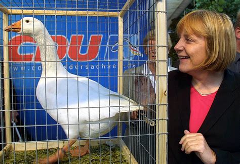 Angela Merkel Die Skurrilsten Bilder Der Bundeskanzlerin