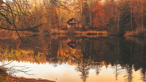 Wallpaper Cabin Woods Autumn