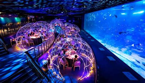 Aqua Gastronomy At Sea Aquarium Festive Underwater Dome Dining In Singapore Girlstyle Singapore