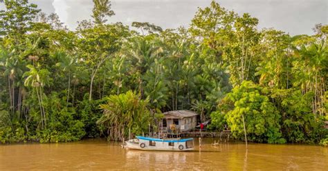 Manaus 2 3 Ou 4 Jours Dans La Jungle Amazonienne Getyourguide