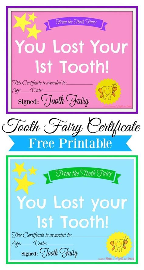 Free Printable Tooth Fairy Certificate Tooth Fairy Certificate First