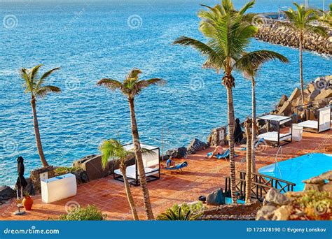 Spain Tenerife Adeje December 17 2018 Amazing Aerial View On Palm