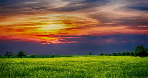 Top 106 Grass Sunset Wallpaper