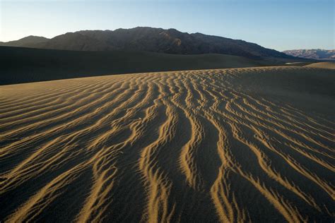 Wind Ripples On Sand Dunes Se Cal 181109 39 Geology Pics