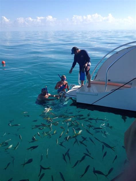 Florida Keys Snorkeling Robbies Of Islamorada Best Snorkeling Fl