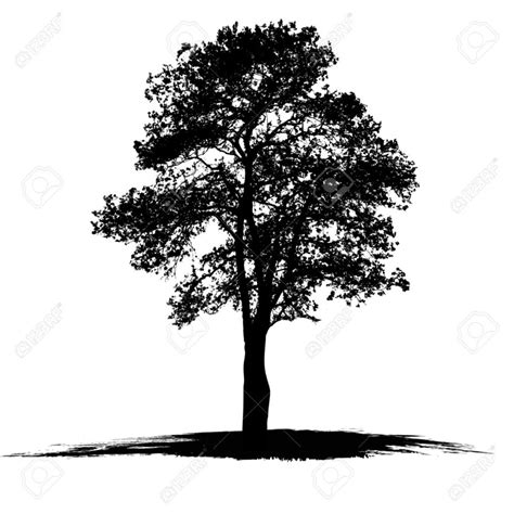 Choose from 20+ tree black and white graphic resources and download in the form of png, eps, ai or psd. Best Oak Tree Silhouette #17913 - Clipartion.com