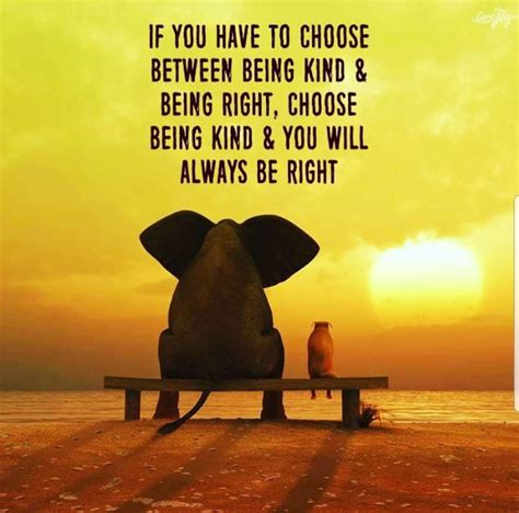 If you have to choose between being kind and being right, choose being kind an… | Inspirational 