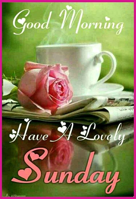 Lovely Sunday Saved By Sriram Tuesday Quotes Good Morning Good Morning
