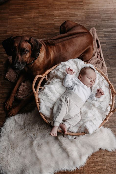 Caro Knabe Baby Mit Hund Babyfotos Ideen Newborn Babyfotografie
