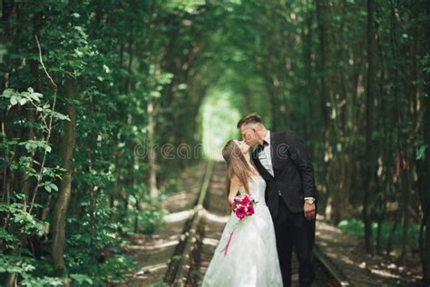Romantic Newlywed Couple Kissing In Pine Tree Forest Stock Photo