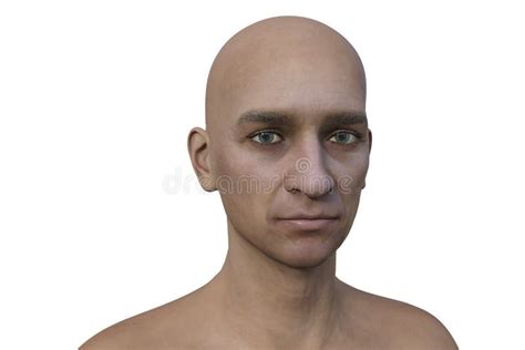 Portrait Of A Healthy Man 3d Illustration Showing Normal Male Face