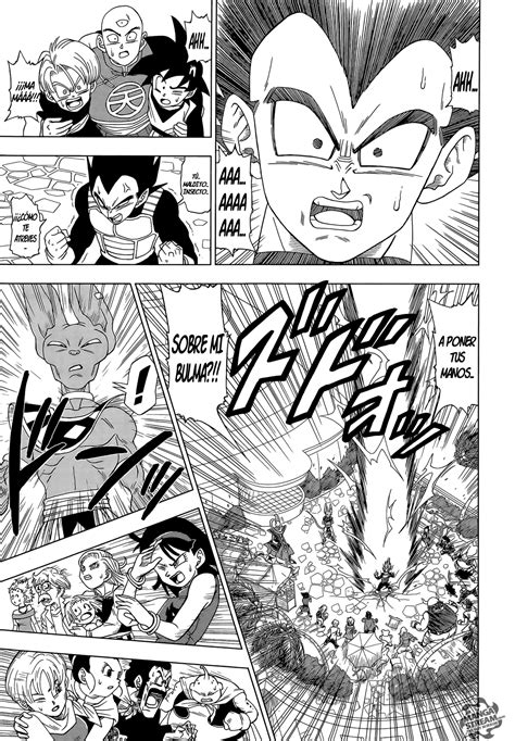 Manga De Dragon Ball Super En Espa Ol Dragonballnoticias Com Dragones Vegeta Y Bulma