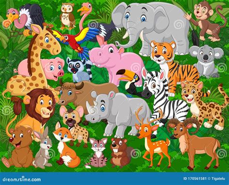Cartoon Wild Animals Collection Set Stock Vector Illustration Of