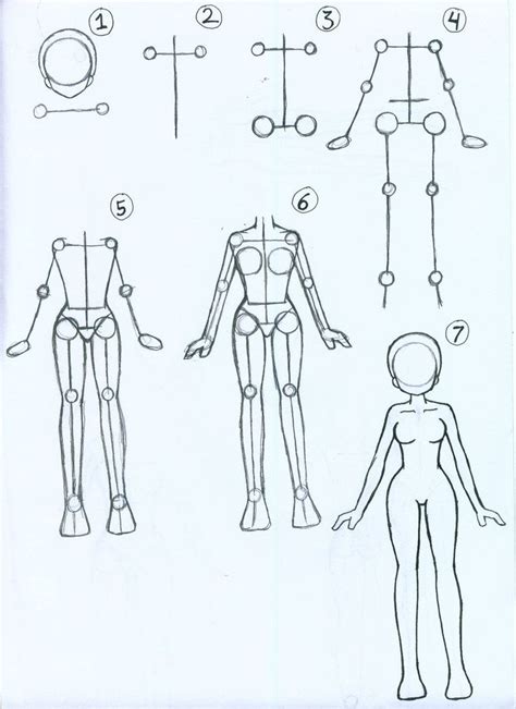 How To Draw Female Anime Body By Arisemutz On Deviantart
