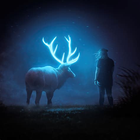 2048x2048 Glowing Reindeer In Dark Ipad Air Hd 4k Wallpapers Images