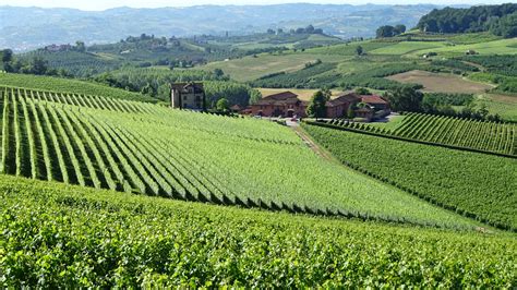 A Gorgeous Self Guided Vineyard Hike In Piedmont