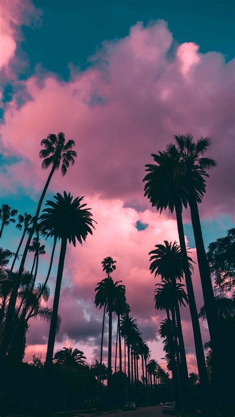 Palm Trees Sunset By Roberto Nickson 2160x3840 Iphone Fondos De