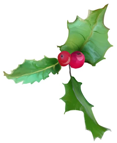 Christmas Leaf Holly Plant For Holly For Christmas 1300x1268