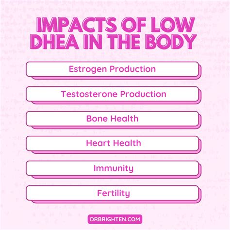 What Does Dhea Do And When Should You Take It Dr Jolene Brighten