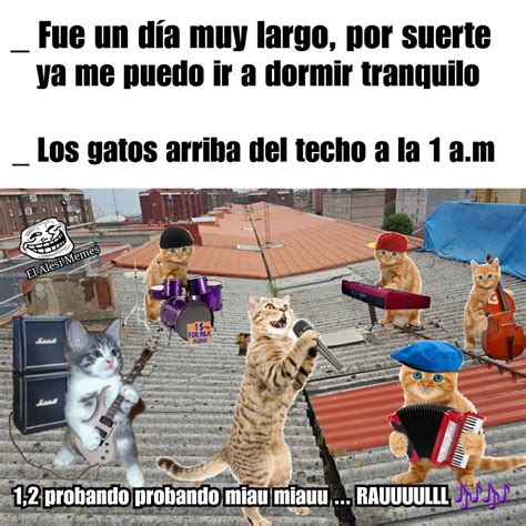 Feliz Día Del Gato 2022 51 Memes De Gatos Y Karen Para Toda Ocasión