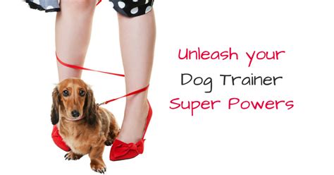 Harlow Dog Trainer — Tagteach Blog