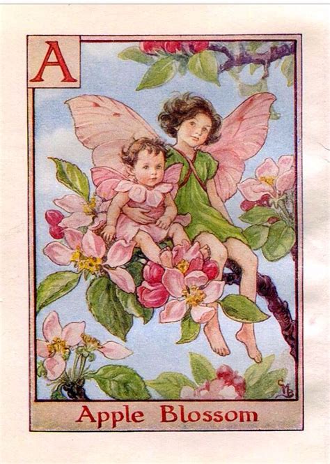 Cicely Mary Barker Alphabet Fairies Series The Apple Blossom Fairy