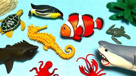 Box Of Toys Sea Animals Names And Sounds Shark Fish Toy
