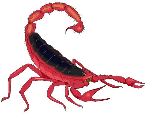 Free Scorpion Cliparts Download Free Scorpion Cliparts Png Images