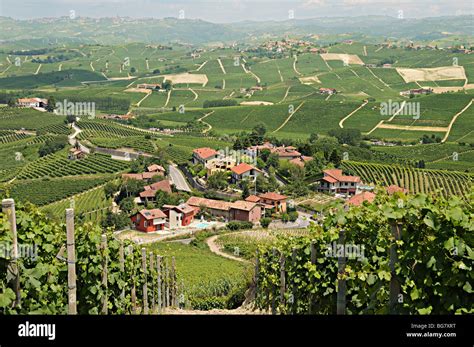 Barolo Vineyards Looking East From La Morra Towards Castiglione