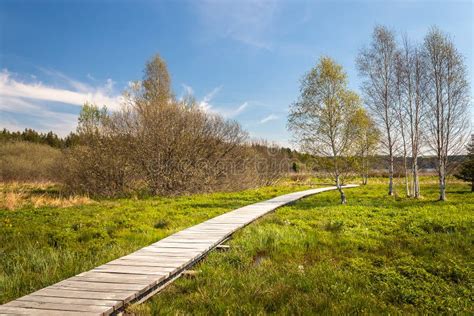 Landscape With A Boardwalk A Wooden Walkway In The Wetlands Around
