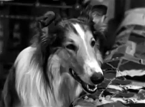 13 Lassie Season 02 Episode 08 The Witch 1955