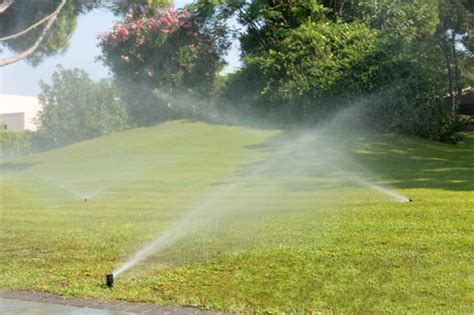 Irrigation 101 The Importance Of A Good Sprinkler System Design Dk