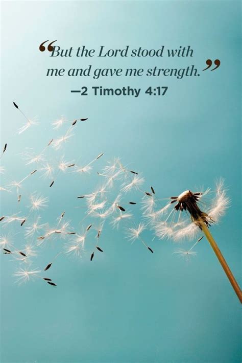 30 Encouraging Bible Quotes And Verses About Strength