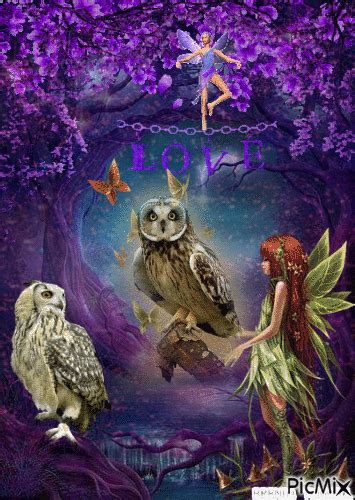 Owl Fantasy Fairy Picmix