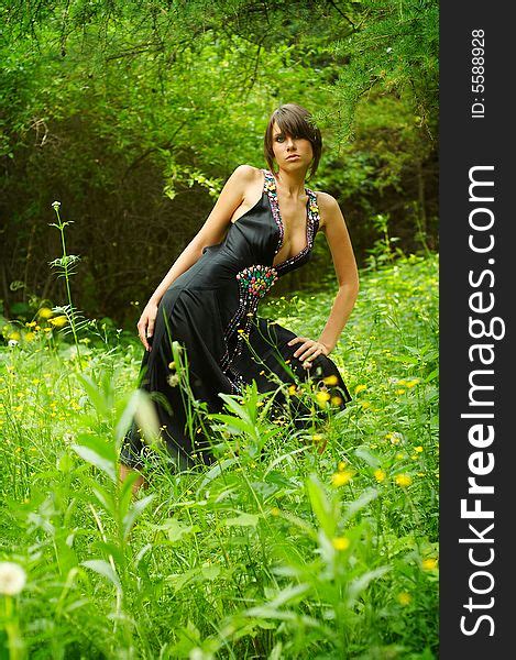 Girl Posing In The Woods Free Stock Images Photos
