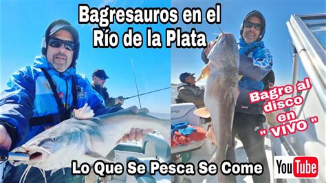 Pesca De Bagre De Mar En El Río De La Plata Pesca Y Cocina Bagre Al