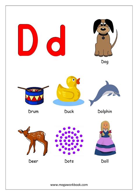 Objects That Start With D Words That Begin With Letter D Alphabet